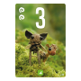 Pixies - Family Strategy Card Game