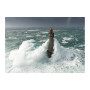 Puzzle 1000 pièces - Le Phare de la Jument, Bretagne