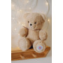 Little Articulated Bear 25 cm Powder Beige - L'ours français