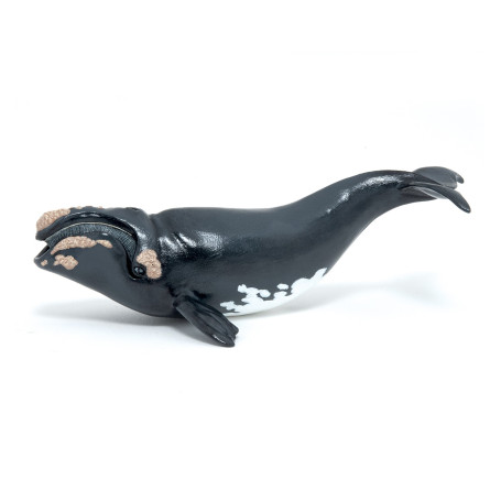 Right whale - PAPO's figurine
