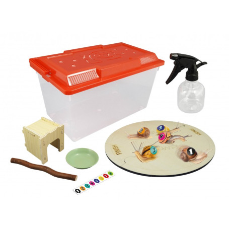 Maison des escargots en bois – Jeu éducatif Nature Buki dès 6 ans