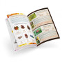 Terrarium éducatif pour insectes – Observons et explorons la nature
