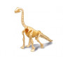 Dino Dig Brachiosaurus Buki – Squelette de dinosaure à déterrer