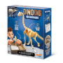Dino Dig Brachiosaurus Buki – Squelette de dinosaure à déterrer