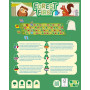 Forest First – Premier jeu de course dès 3 ans