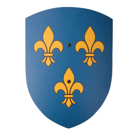 Bouclier 27x37 Fleur de lys bleu/jaune