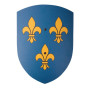 Bouclier 27x37 Fleur de lys bleu/jaune