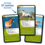 Défis Nature - Horses - Educational card game from age 7