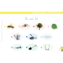 Jeu chevalet Dyslexique pour Etoilium