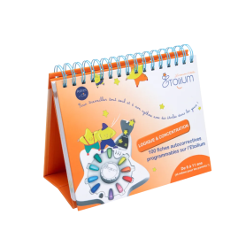 Logic and Focus Flip Book – Etoilium – 100 activity cards