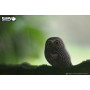 EUGY 3D Owl – Eco-Friendly Cardboard Model Kit for Ages 6+