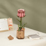 Robotime Pink Rose – Wooden DIY Flower Kit – 106 Pieces