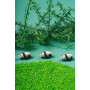 Bouteille sensorielle sonore bébé – Panda et bambou – Petit Boom