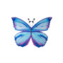 Ailes de papillon bleues 4/6 ans – Déguisement enfant féerique