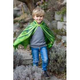 Green Dragon Wings 4/6 years – Lightweight costume wings for kids
