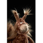 Forest Flyer Squirrel 34 cm – Designer plush Beasts - Sigikid