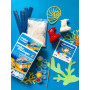 Mako Moulages Dolphin and Baby – Creative plaster casting