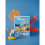 Mako Moulages Dolphin and Baby – Creative plaster casting