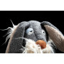 I waas Nix rabbit 35cm - Plush design - Collection Beasts by Sigikid