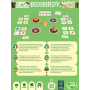 Bidibirdy – Observation and matching game