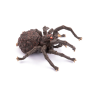 Papo Arachnos Figure – Giant Fantasy Spider
