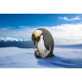 Puzzle 3D Eugy Manchot Empereur – Maquette Animale