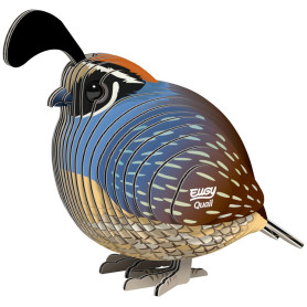 Eugy 3D Quail Puzzle – DIY Bird Model Kit – Cute & Colorful Toy
