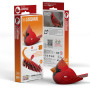 Puzzle 3D Eugy Cardinal – Maquette Oiseau Rouge – Créatif & Mignon