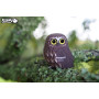 Eugy 3D Ninox Puzzle – DIY Morepork Owl Model – Cute & Creative Toy