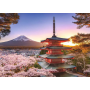Adult Puzzle 1000 pcs – Cherry Blossoms of Mt Fuji – Japan Landscape