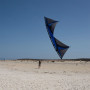 Spiderkites Shiva Quad Line Kite