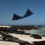 Spiderkites Shiva Quad Line Kite
