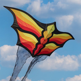 Cerf-volant Brasington's Butterfly Spiderkites