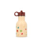 Jack the Lion "Look and Find" Water Bottle – 400 ml