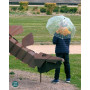 Petit Jour Dinosaurs Transparent Kids Umbrella