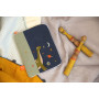 Health record book cover with embroidered name - Diplo