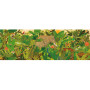 Djeco Hidden in the Nature 1000-Piece Panoramic Gallery Puzzle