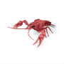Moulin Roty Tout Autour du Monde 3D Crayfish Puzzle