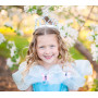 Couronne Cendrillon argent et bleu Great Pretenders