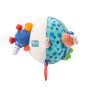 Frog Pond Activity Ball Moulin Roty