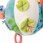 Frog Pond Activity Ball Moulin Roty