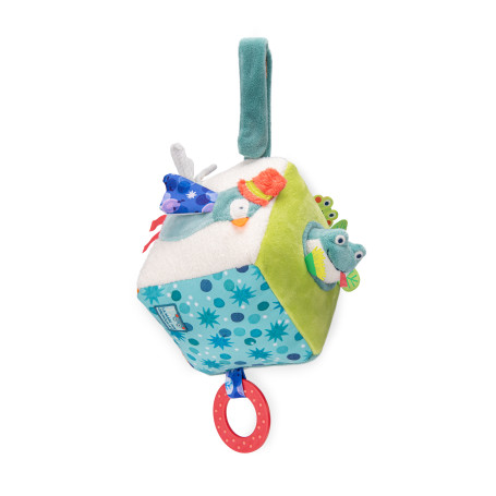 Cube d'activités La mare aux grenouilles Moulin Roty