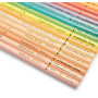 Metal Tin 50 Pastel Colored Pencils Les Rosalies Moulin Roty