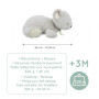 Weighted Koala Plush Toy 26cm Petit songe Kaloo