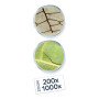 Expert Video Microscope Kit - Buki France