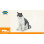 Chatte assise - Figurine Papo