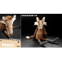 Goose Booster (peluche renard 47cm) - Sigikid Beasts