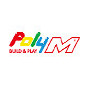 PolyM a